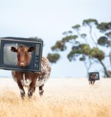 VFX and Animation Course In Vadodara