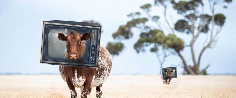 VFX and Animation Course In Vadodara VFX and Animation Course In Vadodara